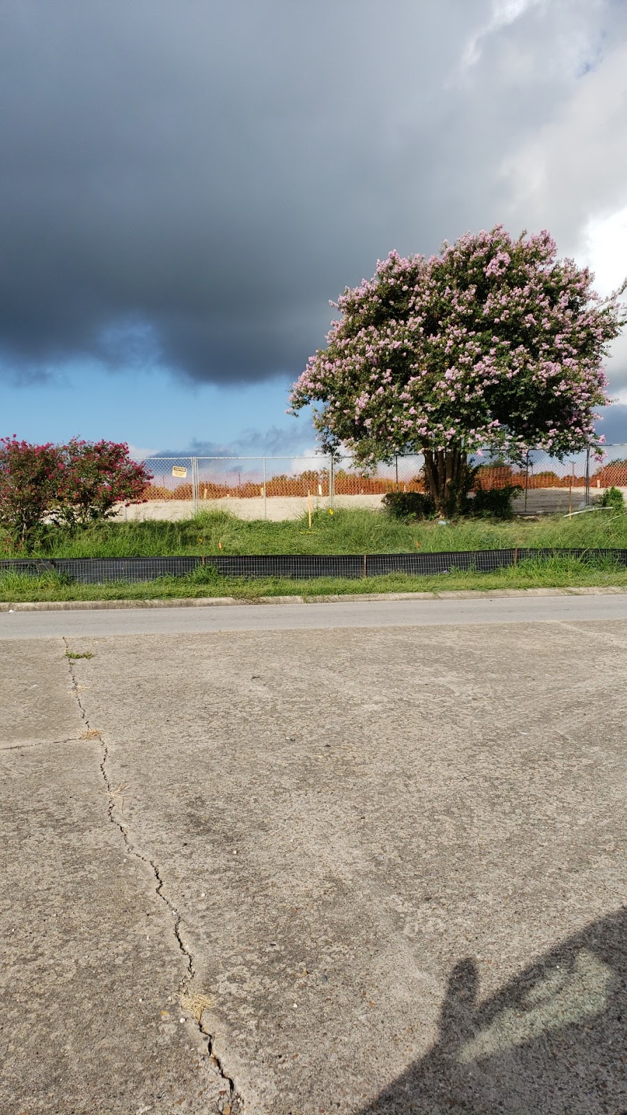 Circle K | cafe | 9401 Up River Rd, Corpus Christi, TX 78410, USA | 3612417304 OR +1 361-241-7304