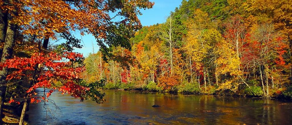 Tellico Kats Deli & Cafe | cafe | 1829 Cherohala Skyway, Tellico Plains, TN 37385, USA | 4232533411 OR +1 423-253-3411