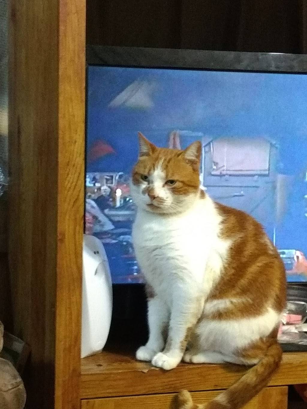 Subway | restaurant | 1009 E Main St, Westminster, SC 29693, USA | 8646478400 OR +1 864-647-8400