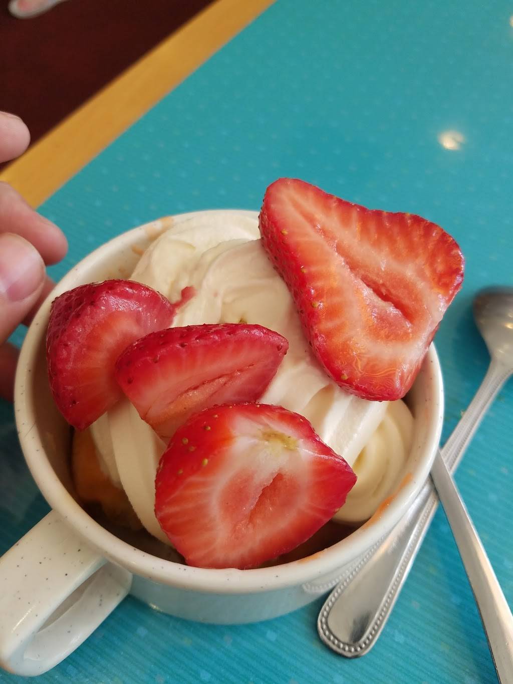 Panda Buffet Restaurant | restaurant | 35535 Euclid Ave #5, Willoughby, OH 44094, USA | 4409511788 OR +1 440-951-1788