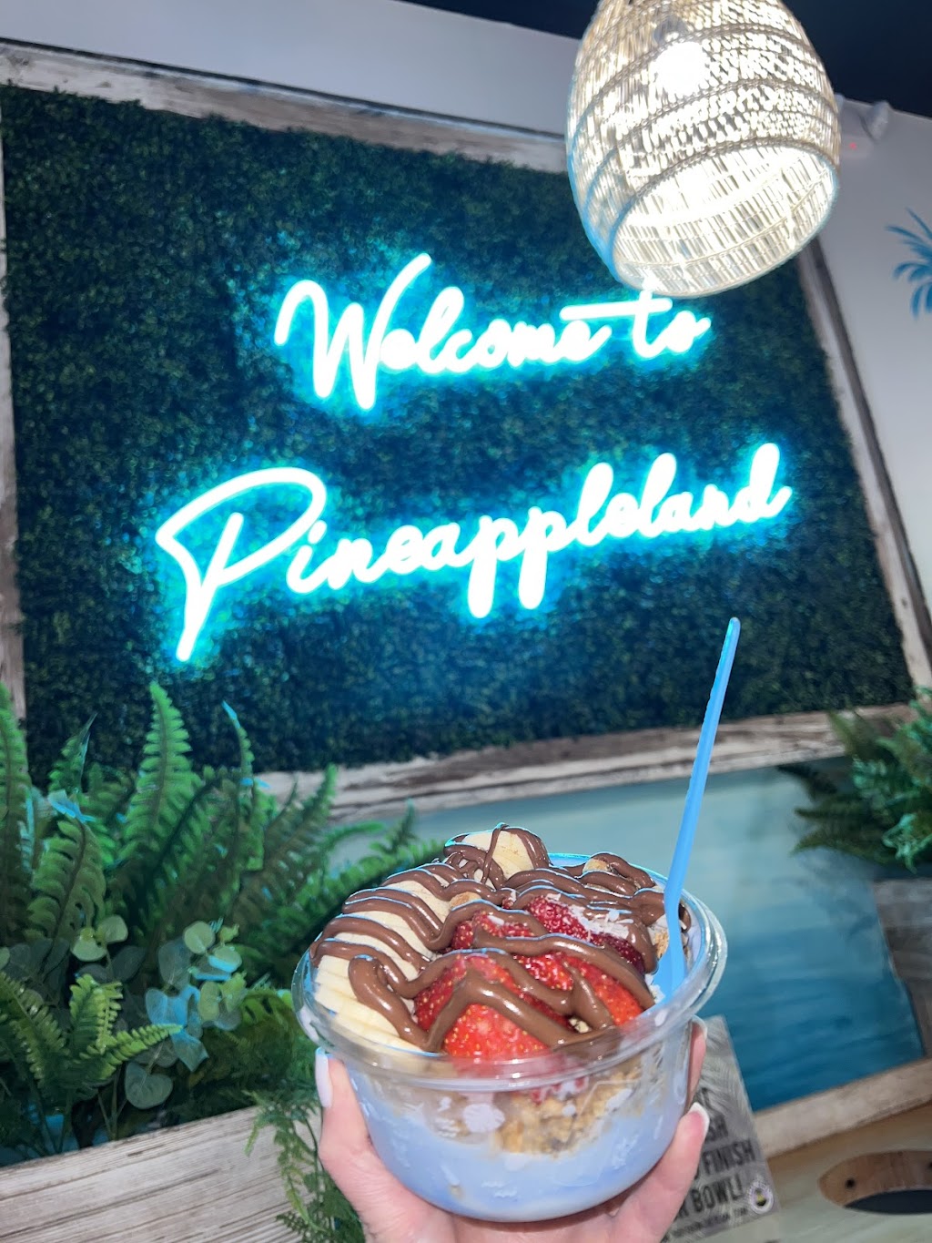 Playa Bowls | restaurant | 2607 S Rochester Rd, Rochester Hills, MI 48307, USA | 2488291148 OR +1 248-829-1148