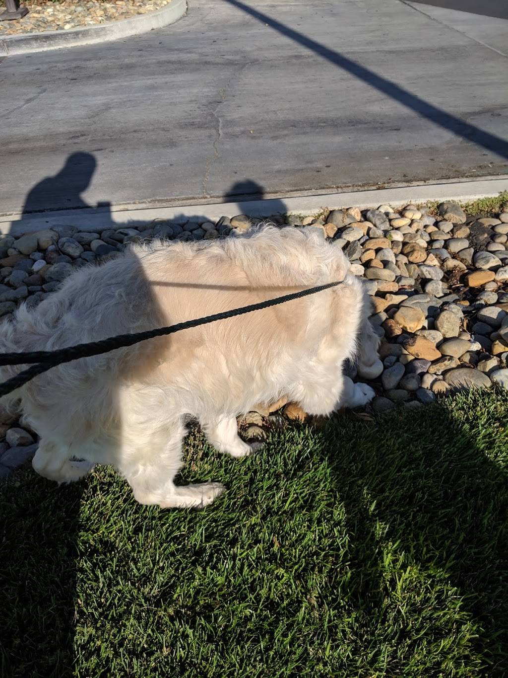 Panera Bread | bakery | 150 N 12th Ave Suite 101, Hanford, CA 93230, USA | 5595872600 OR +1 559-587-2600