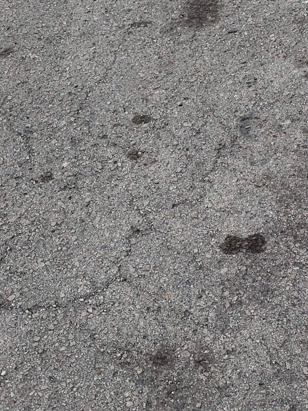 Home Style Restaurant | restaurant | 14905 NW 22nd Ave, Opa-locka, FL 33054, USA | 3059533350 OR +1 305-953-3350