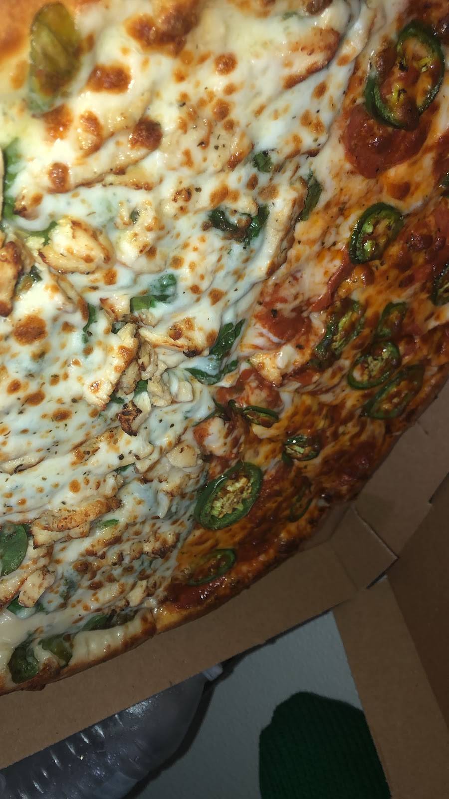 Pizza Patron | restaurant | 11228 Airline Dr, Houston, TX 77037, USA | 8323289160 OR +1 832-328-9160