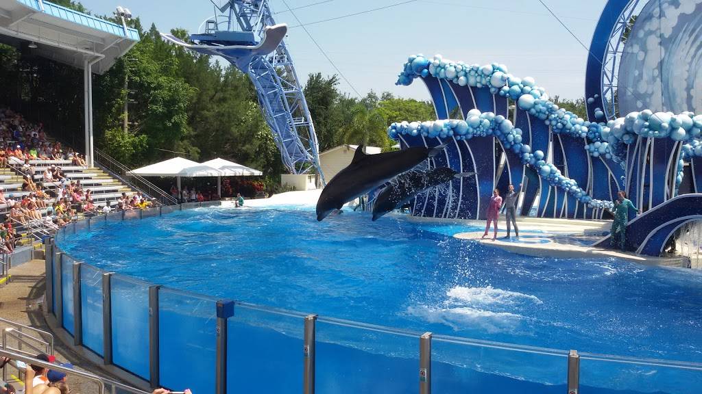 Panera Bread | bakery | 10739 International Dr, Orlando, FL 32821, USA | 4079853390 OR +1 407-985-3390