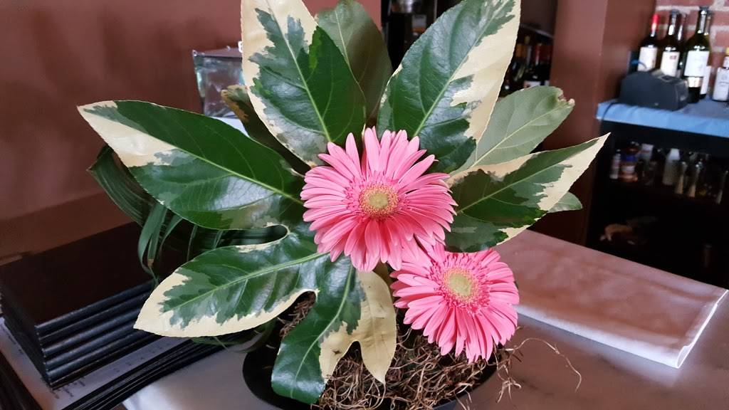 Club Isabella | restaurant | 2175 Cornell Rd, Cleveland, OH 44106, USA | 2162291111 OR +1 216-229-1111