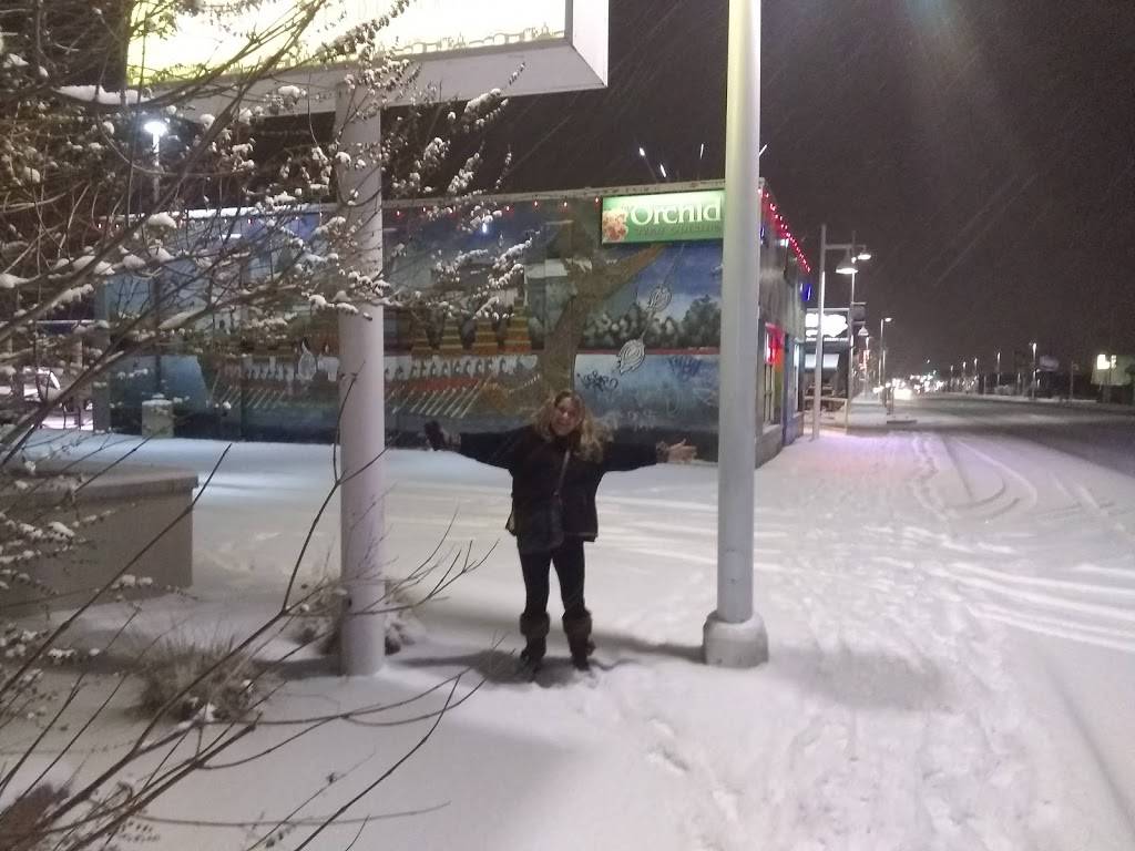 Orchid Thai | restaurant | 4300 Central Ave SE, Albuquerque, NM 87108, USA | 5052654047 OR +1 505-265-4047