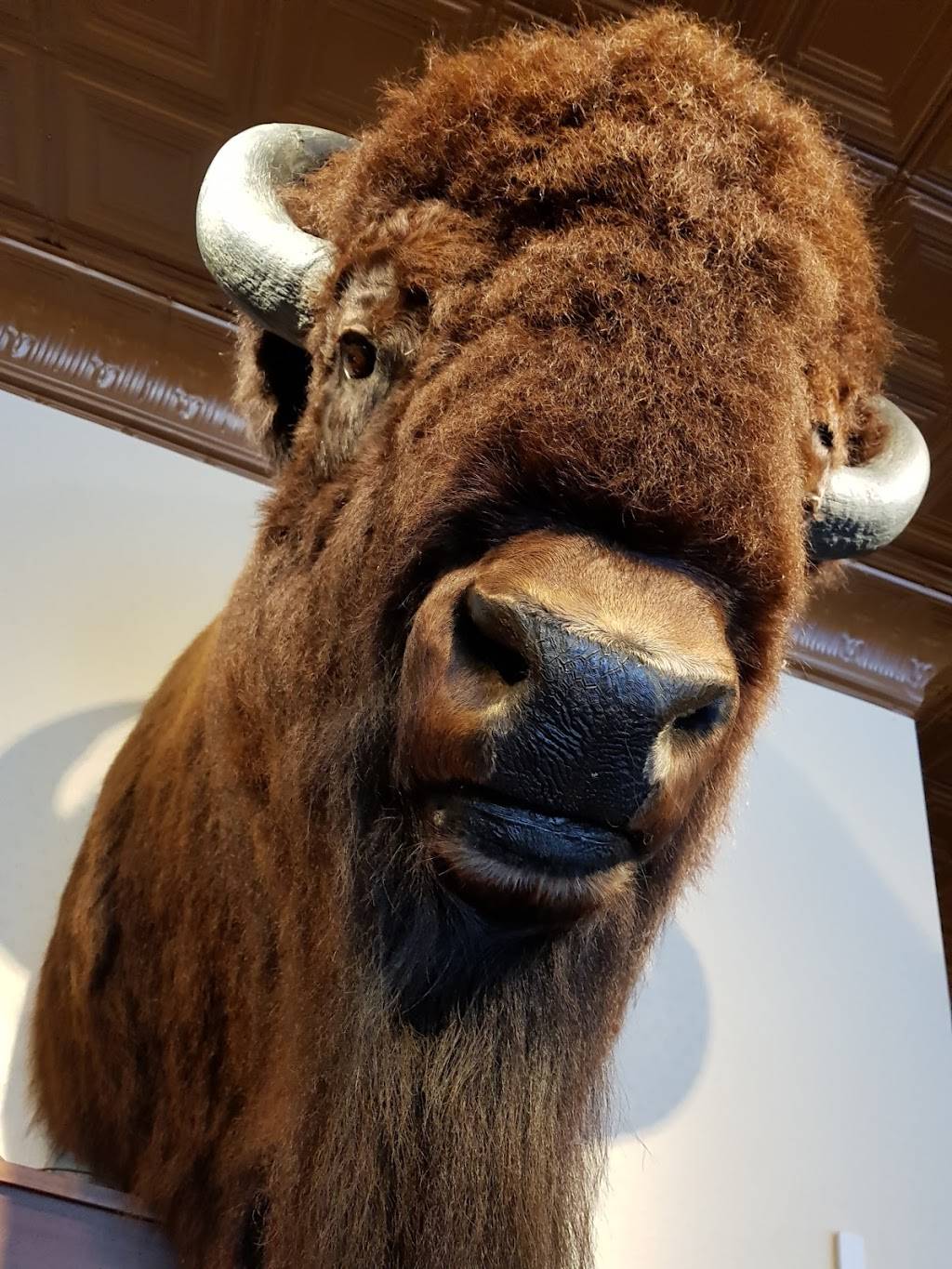 Teds Montana Grill | restaurant | 5370 Greenwood Plaza Blvd #110, Greenwood Village, CO 80111, USA | 3037713038 OR +1 303-771-3038