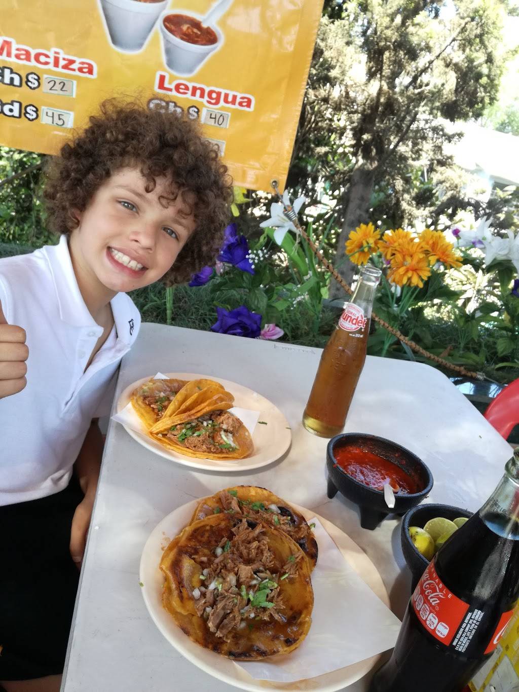 Tacos Javier | restaurant | Av. Transpeninsular 5, Infonavitlomas del Porvenir, Tijuana, B.C., Mexico | 016646307243 OR +52 664 630 7243