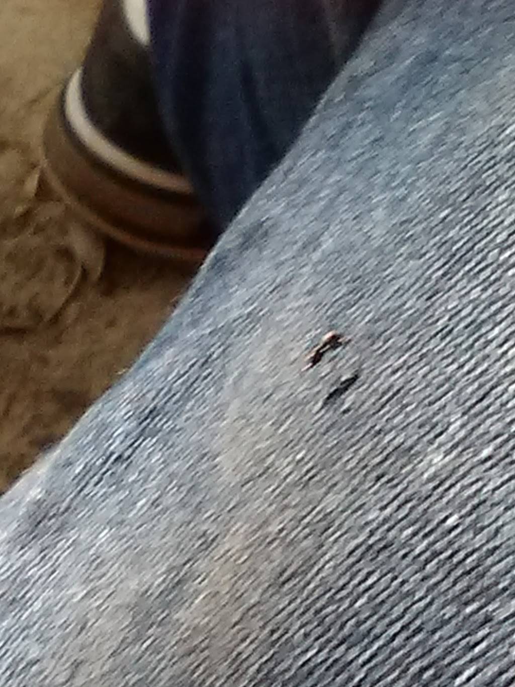 Jackson Corned Beef House | restaurant | 845 Jackson Ave, Memphis, TN 38107, USA | 9015278438 OR +1 901-527-8438