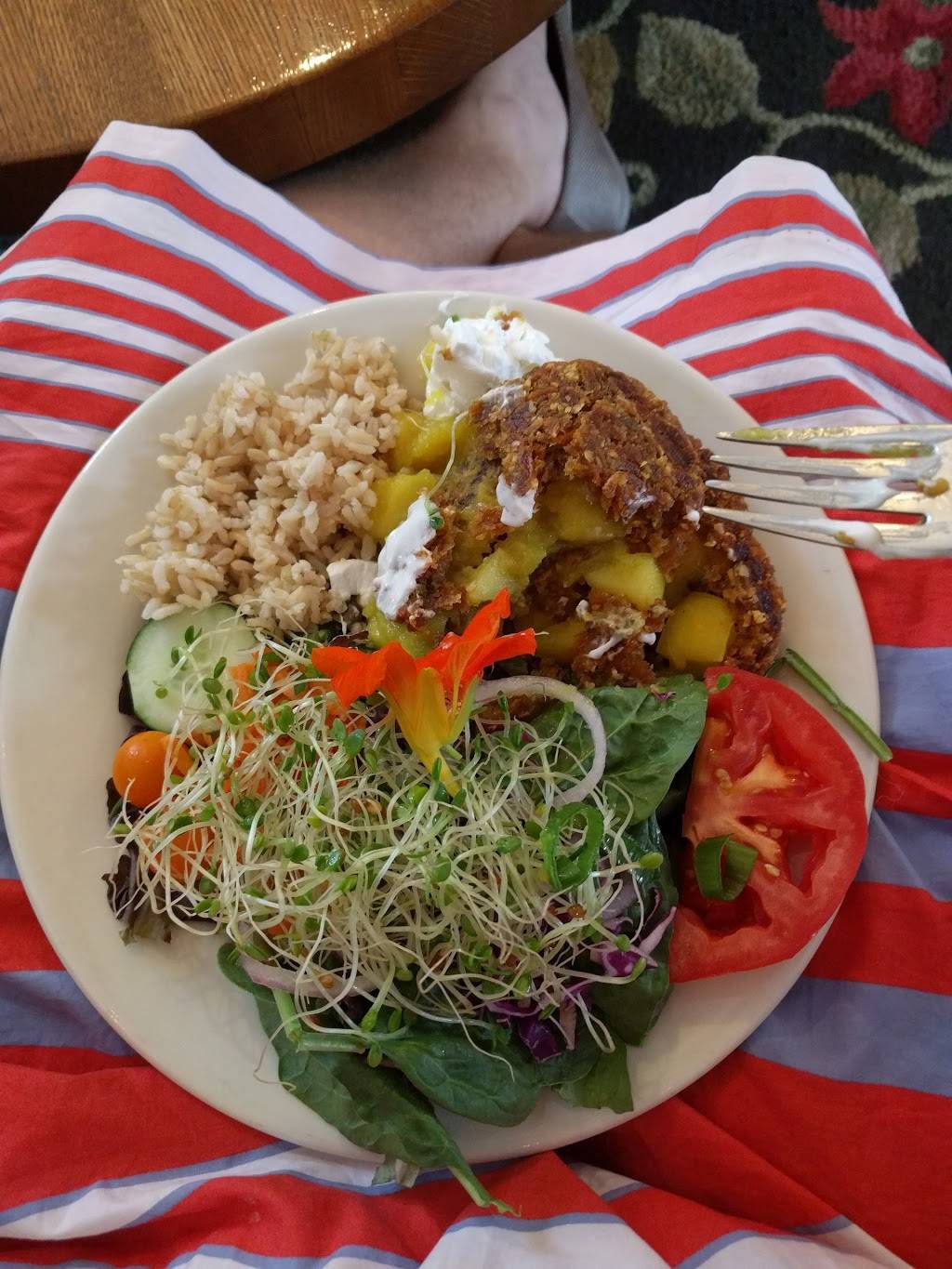 Cafe Evolution | cafe | 22 Chestnut St, Florence, MA 01062, USA | 4135860200 OR +1 413-586-0200