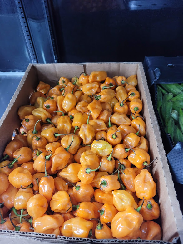 SS International Market | restaurant | 11652 Winnetka Ave N, Champlin, MN 55316, USA | 7639513263 OR +1 763-951-3263