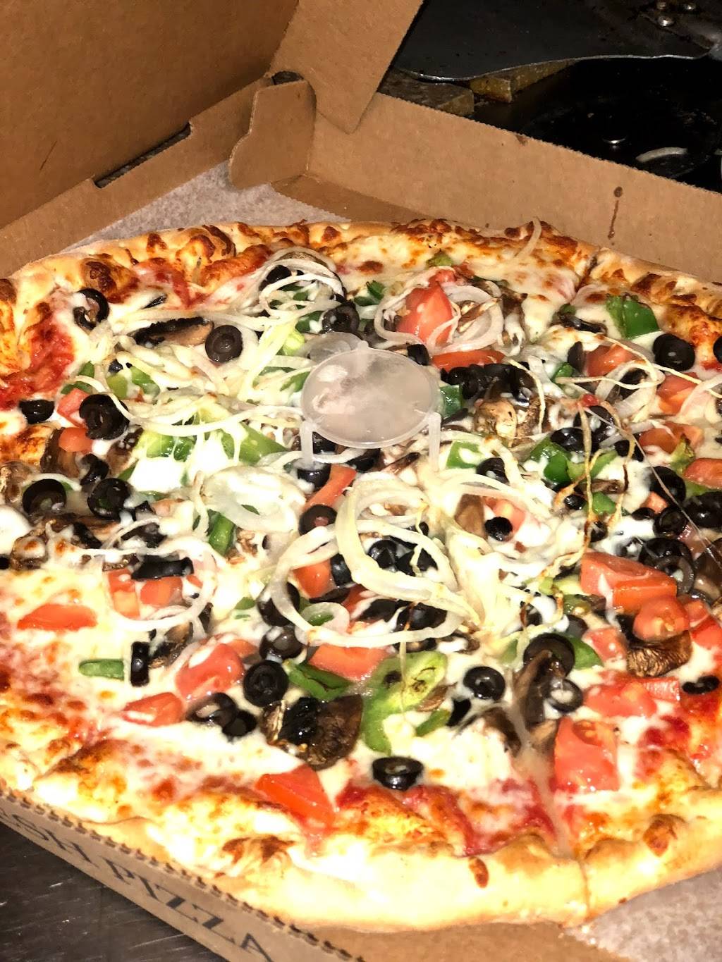 Astor Pizza & Grill | restaurant | 4105 N Dupont Hwy, Dover, DE 19901, USA | 3027448348 OR +1 302-744-8348