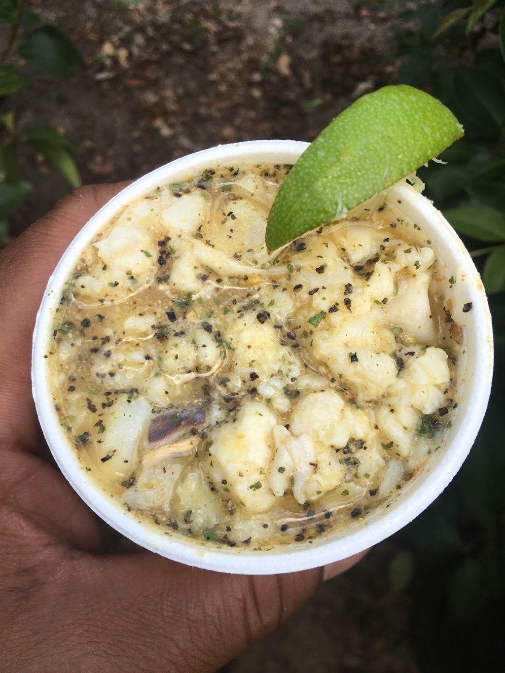 Conchman Conway Llc | restaurant | 3183 Notre Dame St, Tallahassee, FL 32305, USA | 8507270593 OR +1 850-727-0593