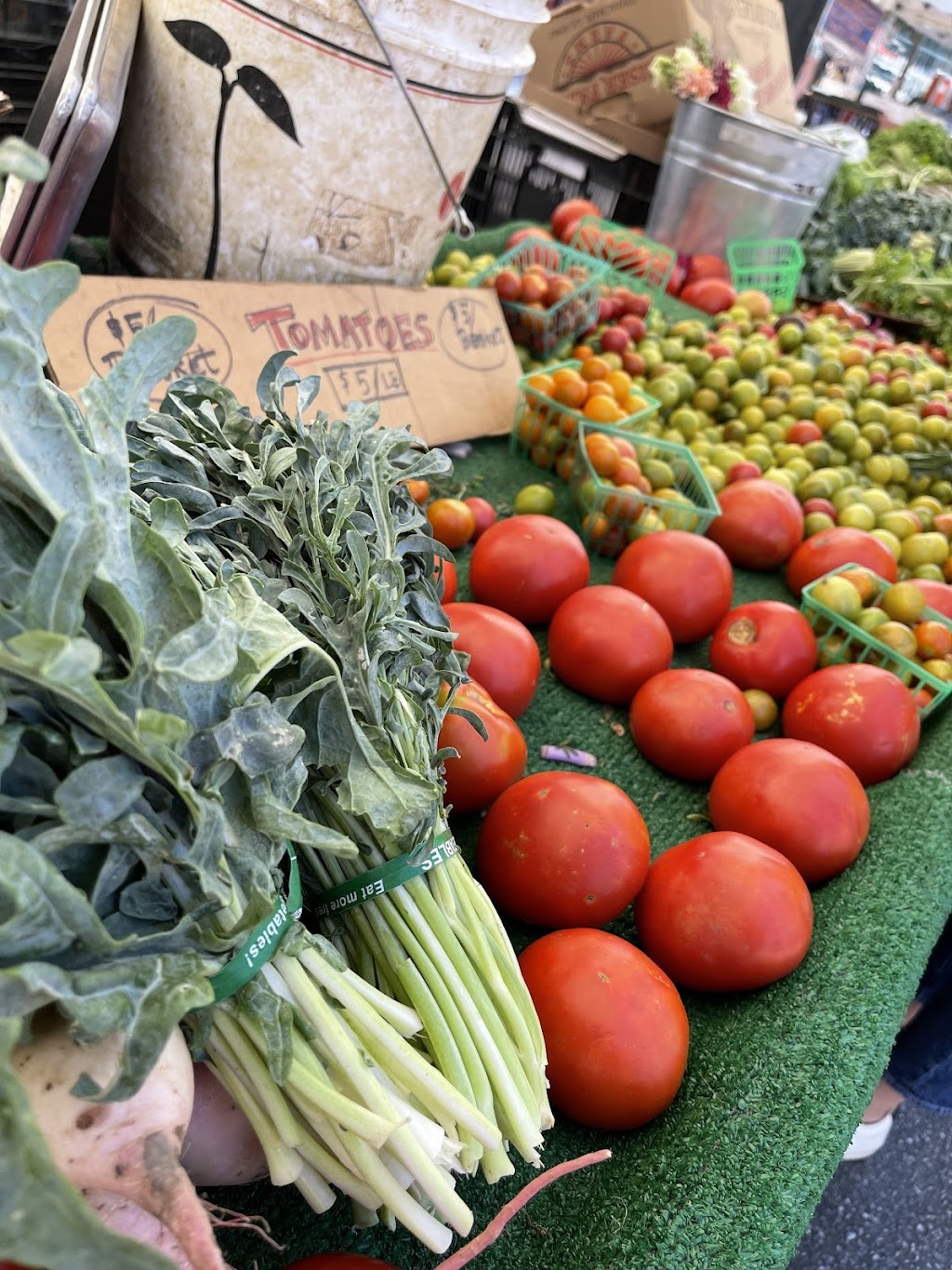 Dog Willing Pizza | meal takeaway | Outside Ficklewood Ciderworks, 720 E Broadway, Long Beach, CA 90802, USA | 5106891968 OR +1 510-689-1968