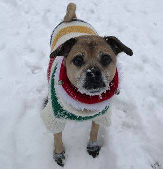 Freshii | restaurant | 1 Yonge St, Toronto, ON M5E 1W7, Canada | 6478124074 OR +1 647-812-4074