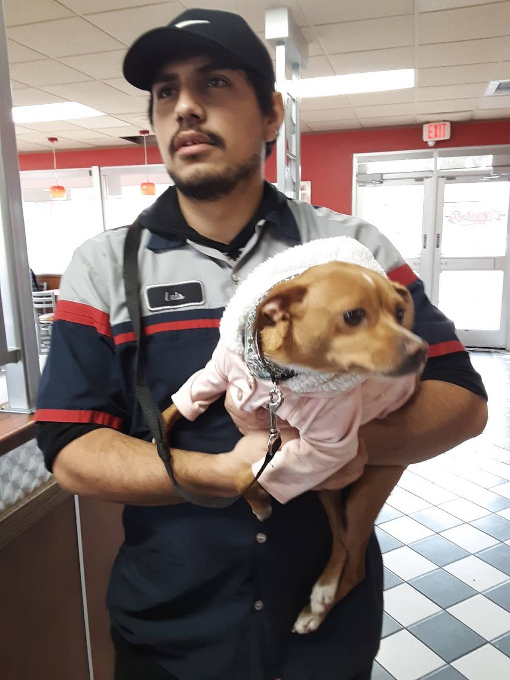 Carls Jr. | restaurant | 120 Knoll Rd, San Marcos, CA 92069, USA | 7607524494 OR +1 760-752-4494