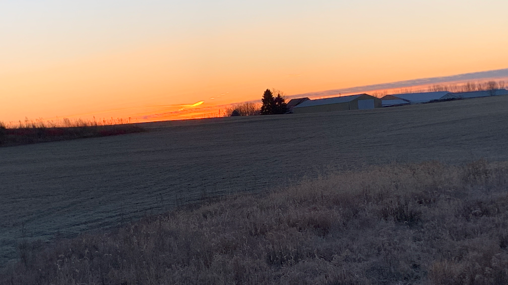 Court Family Farm | restaurant | N3793 Hample Rd, Black Creek, WI 54106, USA | 9204220548 OR +1 920-422-0548