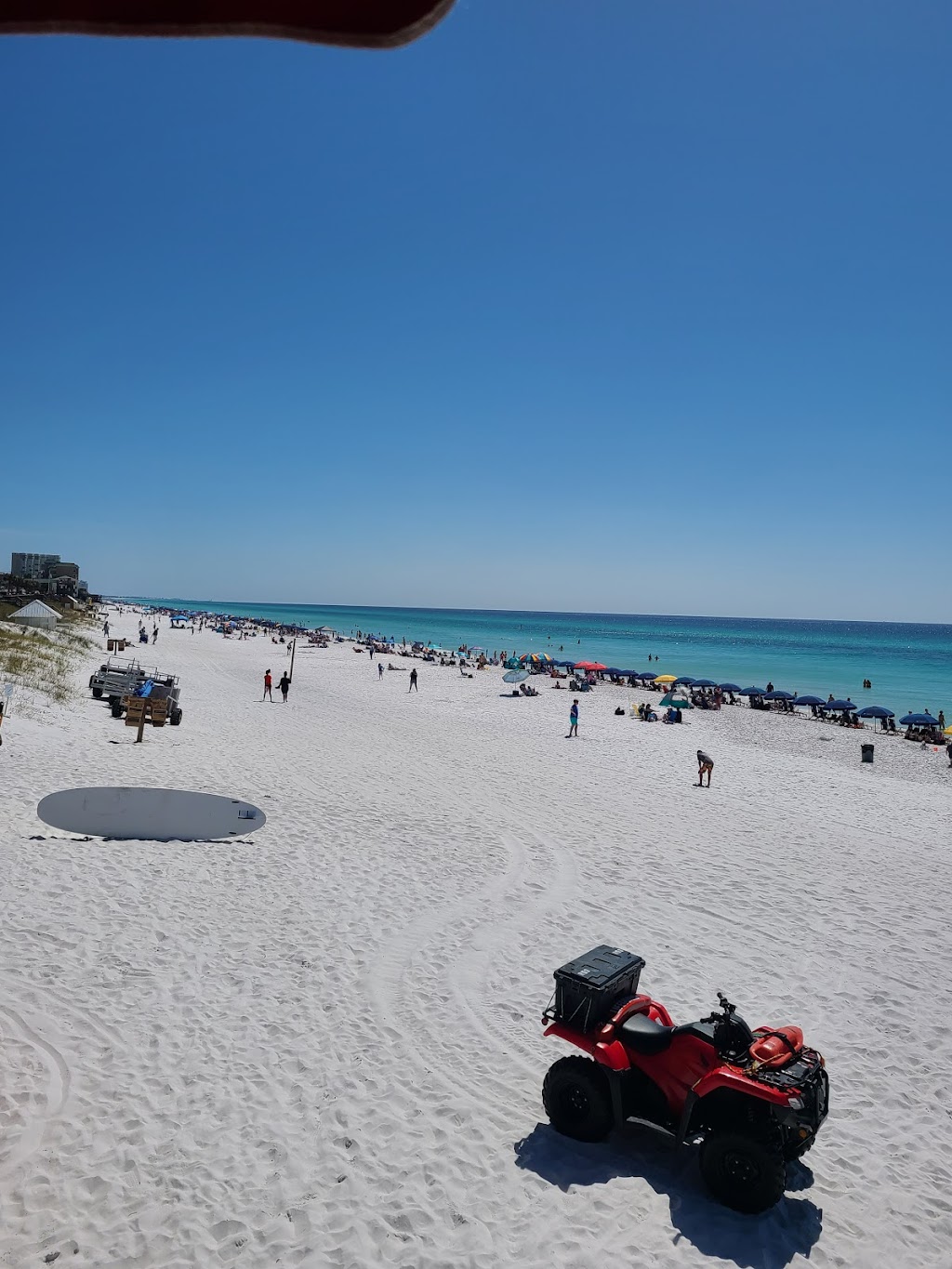 Whales Tail | restaurant | Scenic Hwy 98, Destin, FL 32541, USA | 8506504377 OR +1 850-650-4377