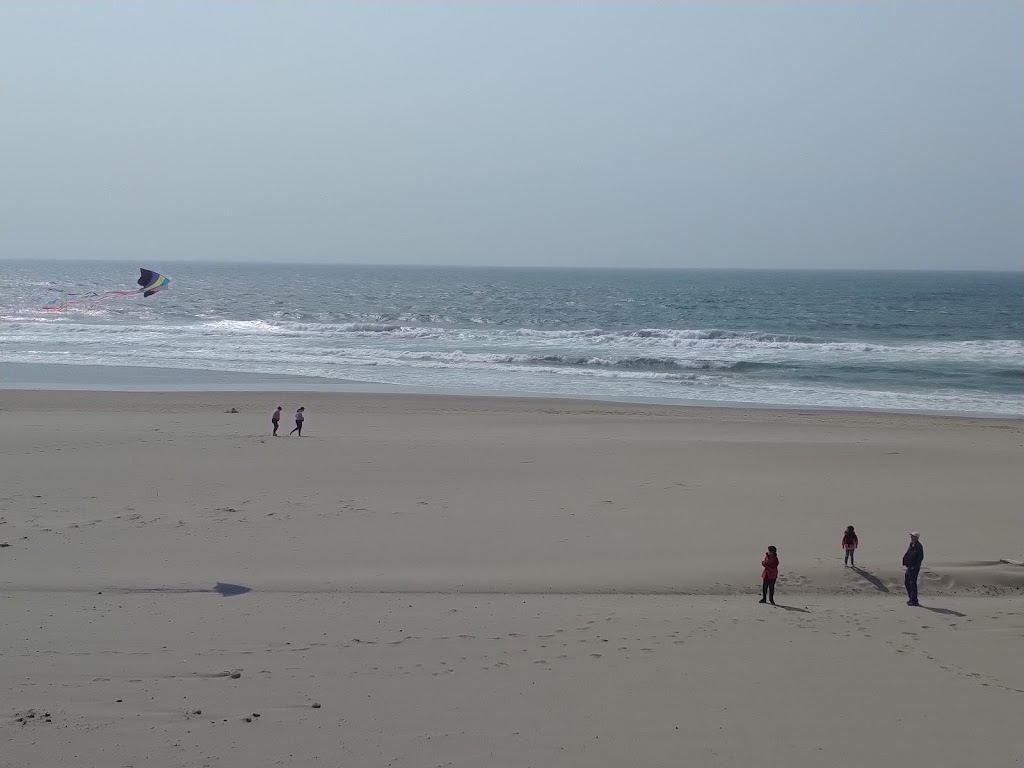 MIST Restaurant & Lounge | restaurant | 2945 NW Jetty Ave, Lincoln City, OR 97367, USA | 5419943877 OR +1 541-994-3877