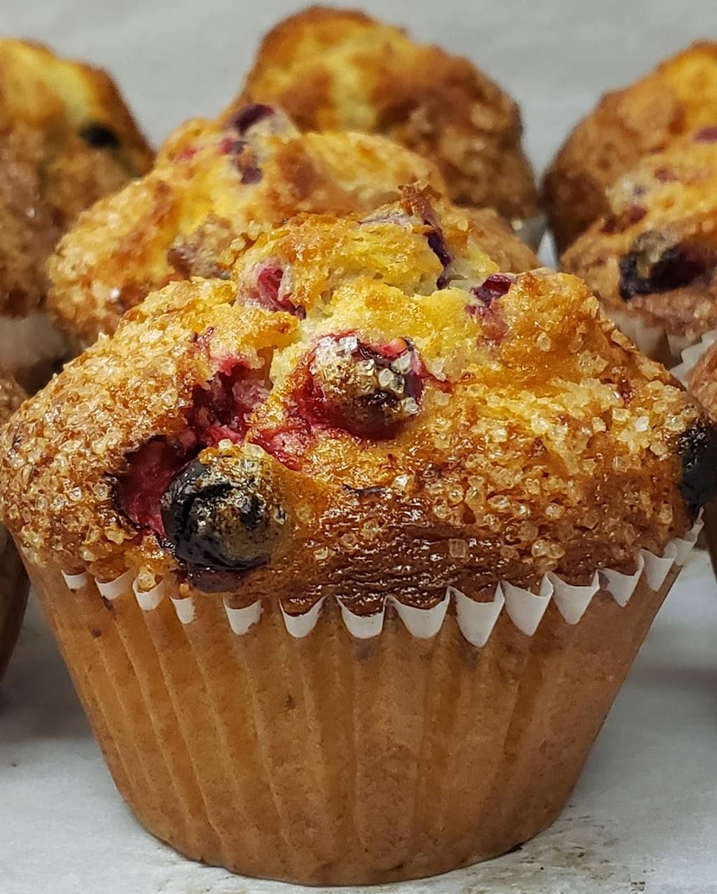 The Bagel Place | bakery | 1166 Williston Rd, South Burlington, VT 05403, USA | 8024972058 OR +1 802-497-2058