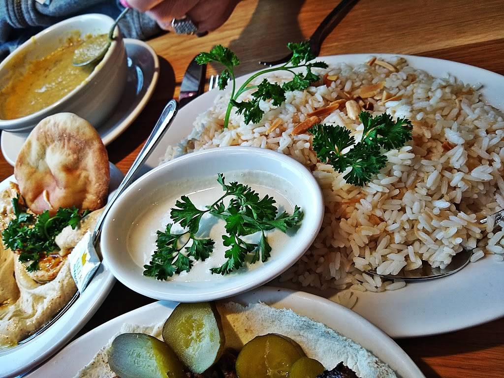 Malek Al-Kabob Dearborn | restaurant | 22065 Michigan Ave, Dearborn, MI 48124, USA | 3135589154 OR +1 313-558-9154