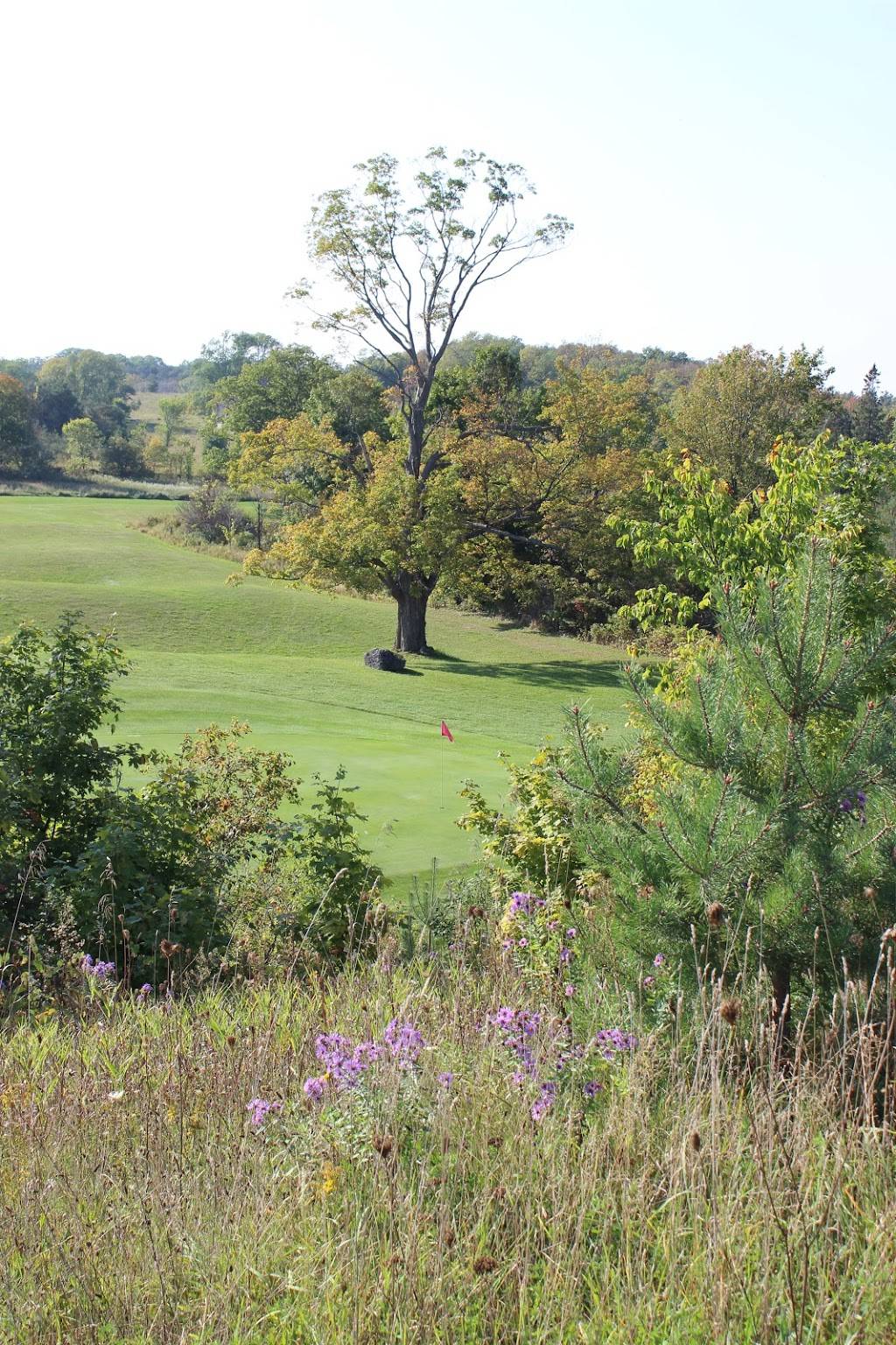 Homestead Resort Golf & Snowmobiling Resort |  | 263530 Southgate Township Road 26, Southgate, ON N0G 1R0, Canada | 5193693771 OR +1 519-369-3771