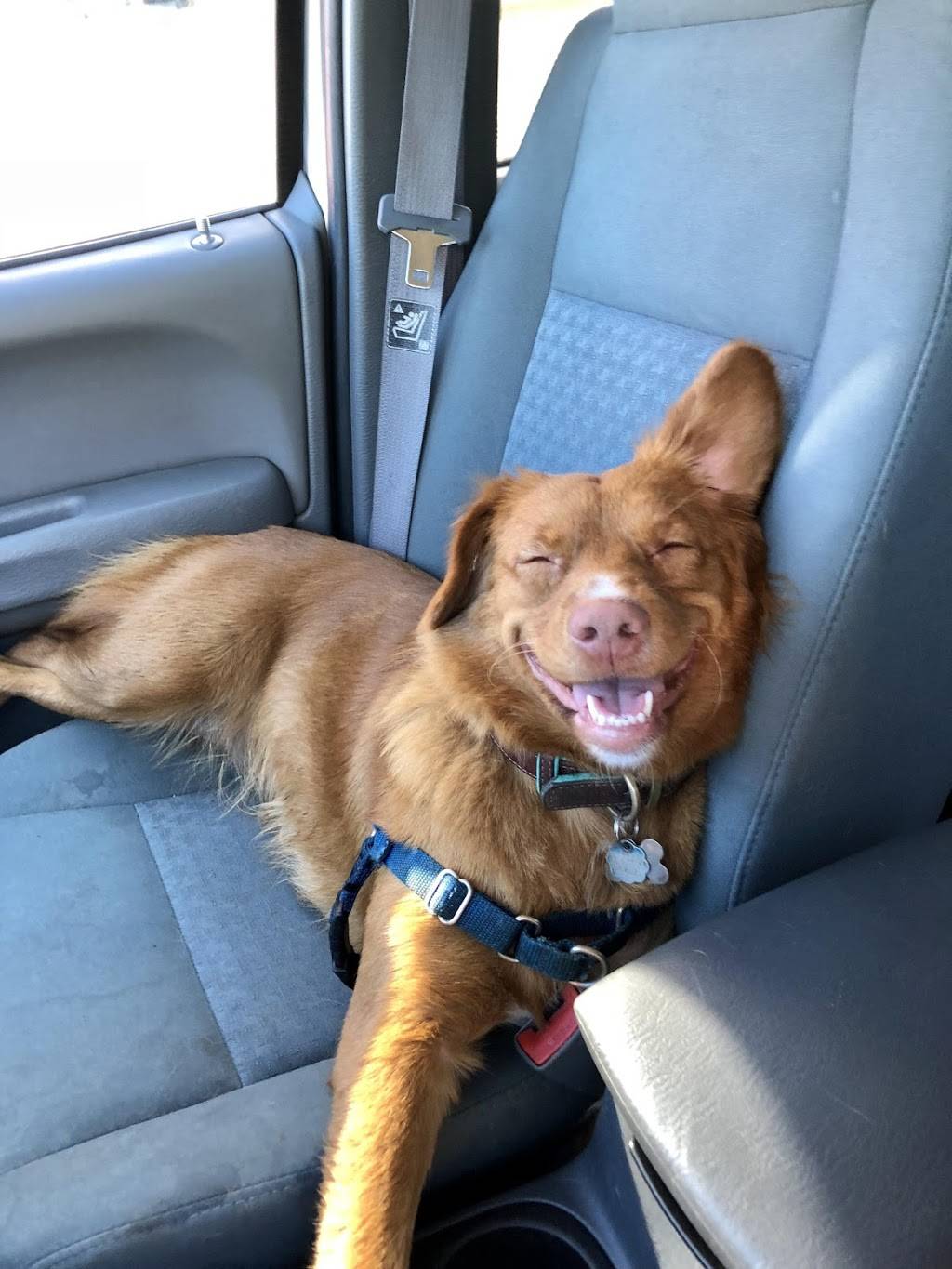 Pizza Hut | meal takeaway | 180 Main St, East Aurora, NY 14052, USA | 7166524290 OR +1 716-652-4290