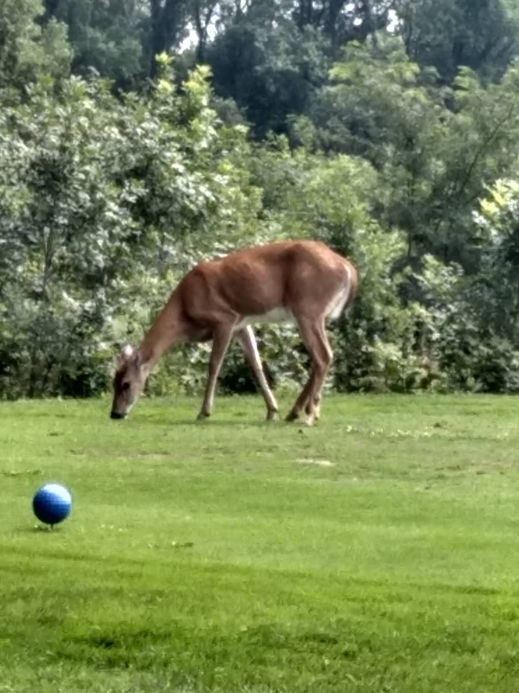 Idle Creek Golf Course | restaurant | 5353 Ryanne Marie Ln, Terre Haute, IN 47802, USA | 8122994653 OR +1 812-299-4653