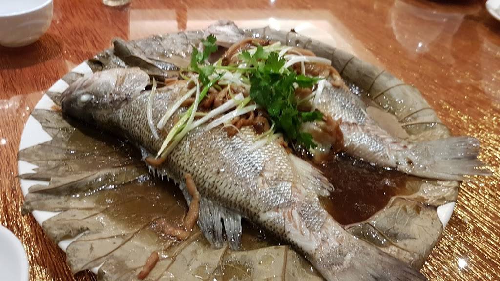 Paradise Chinese Cuisine | restaurant | 5505 Leslie St, North York, ON M2H 3N6, Canada | 4164908828 OR +1 416-490-8828