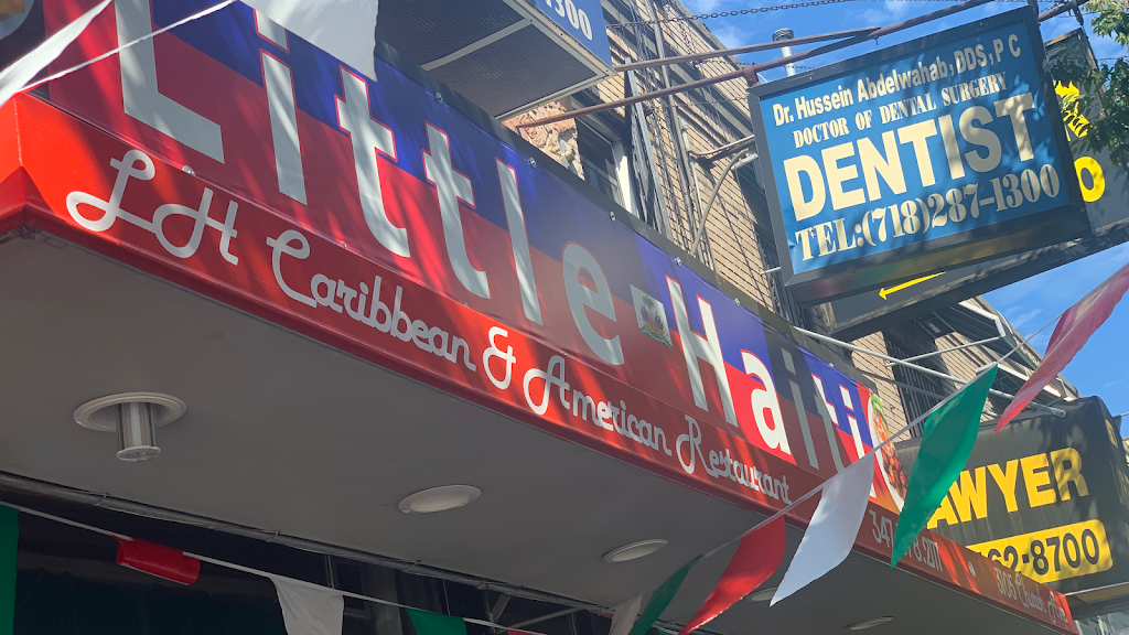 Little Haiti | restaurant | 3105 Church Ave, Brooklyn, NY 11226, USA | 3473782111 OR +1 347-378-2111