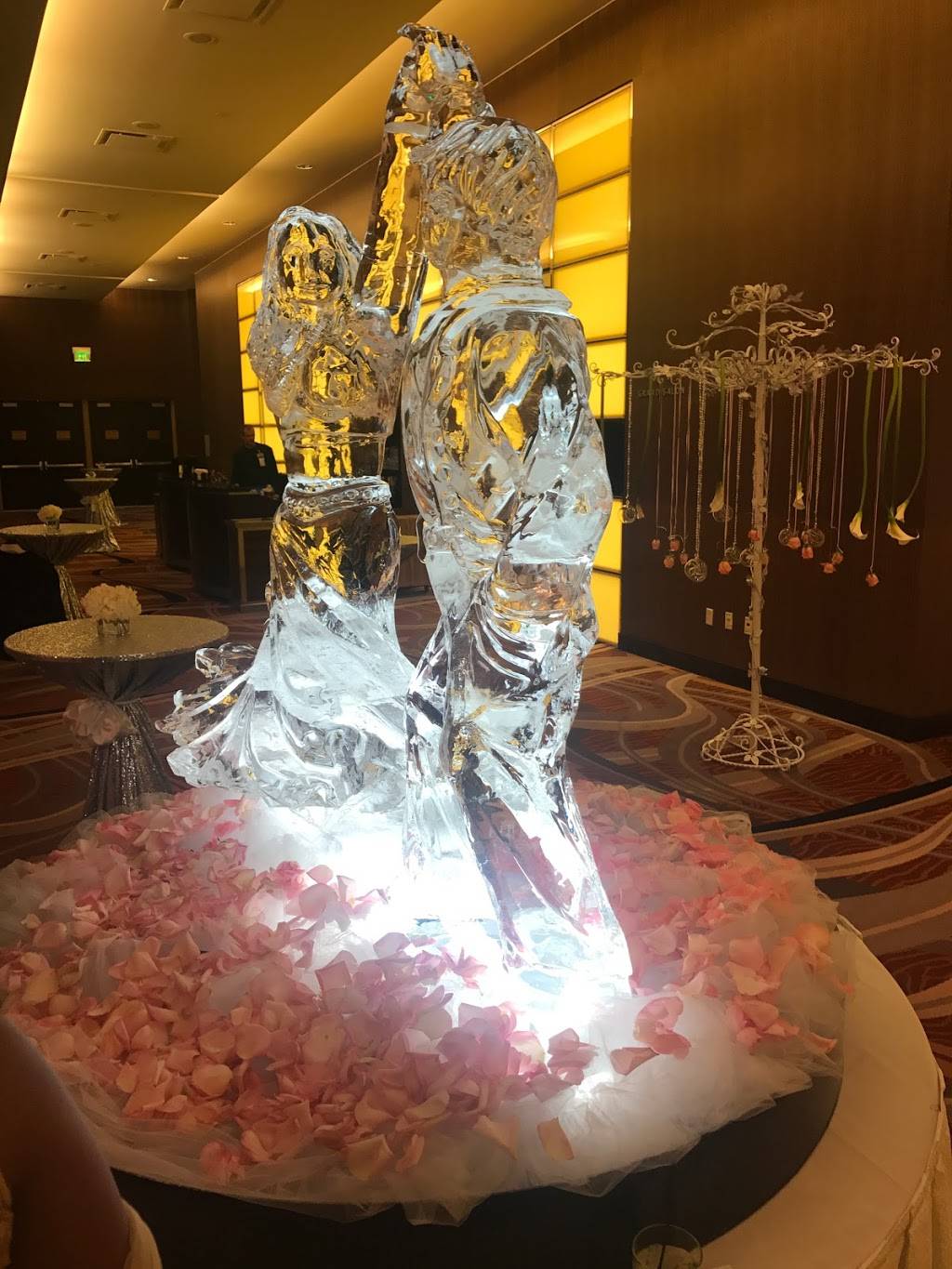 Shree Restaurant | restaurant | 655 N Cass Ave, Westmont, IL 60559, USA | 6306551021 OR +1 630-655-1021