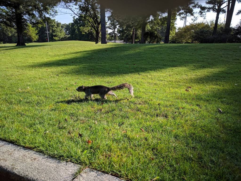 Beachwood Golf Club | meal takeaway | 1520 Hwy 17 S, North Myrtle Beach, SC 29582, USA | 8432726168 OR +1 843-272-6168