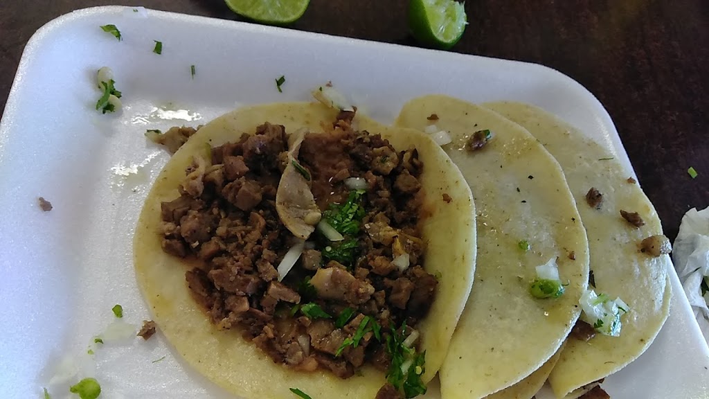 Taqueria Hidalgo | restaurant | 1835 E Grant St, Roma, TX 78584, USA | 9568495848 OR +1 956-849-5848