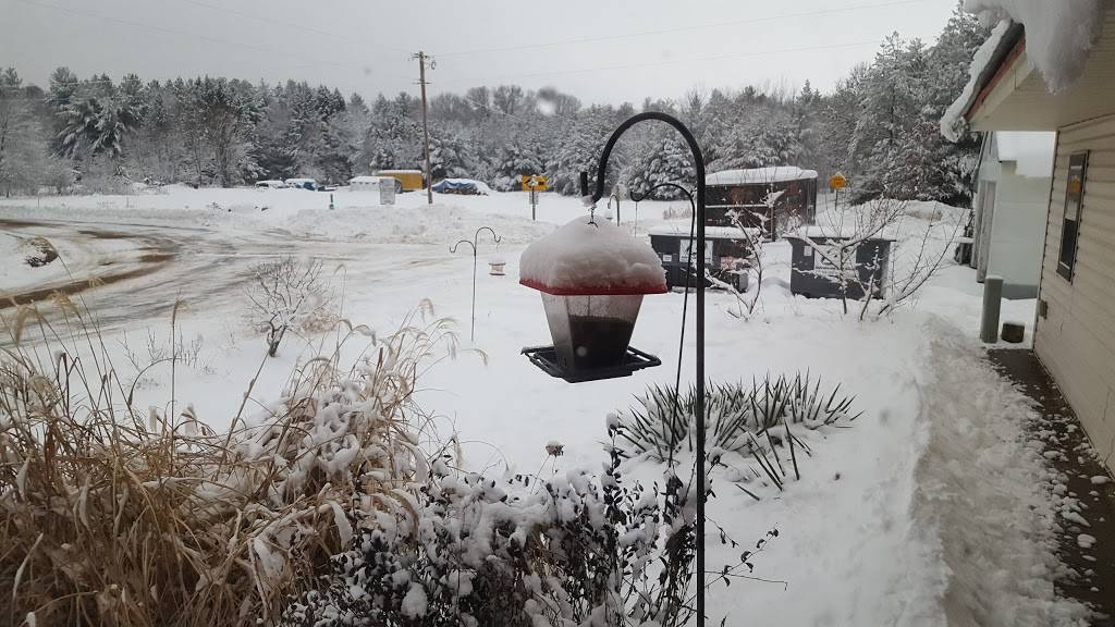 Wilderness Inn | restaurant | N13903 State Rd 80, Necedah, WI 54646, USA | 6085652277 OR +1 608-565-2277