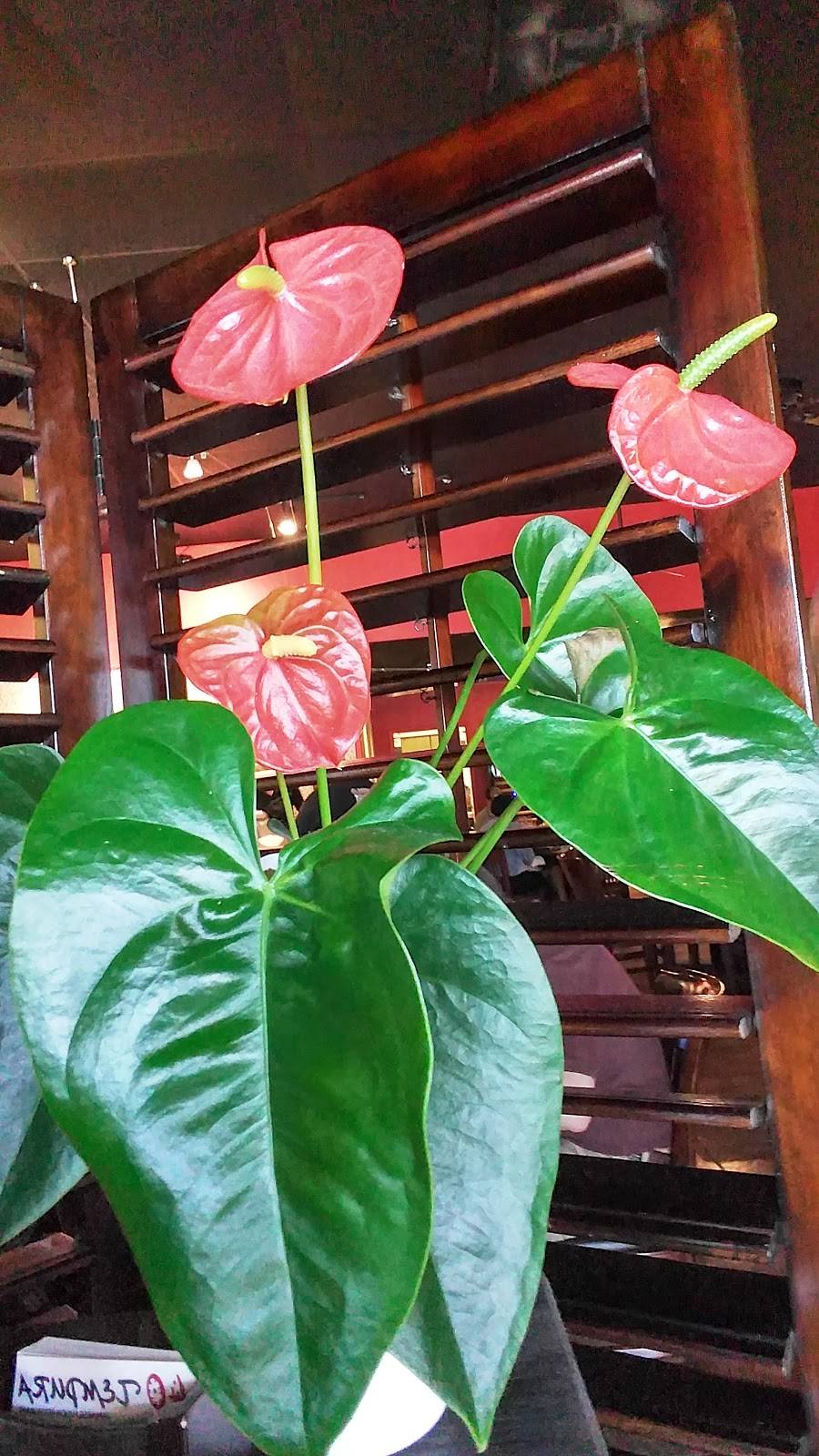 40 Tempura Sushi Restaurant | restaurant | 2551 Texas Avenue South, College Station, TX 77840, USA | 9797034034 OR +1 979-703-4034