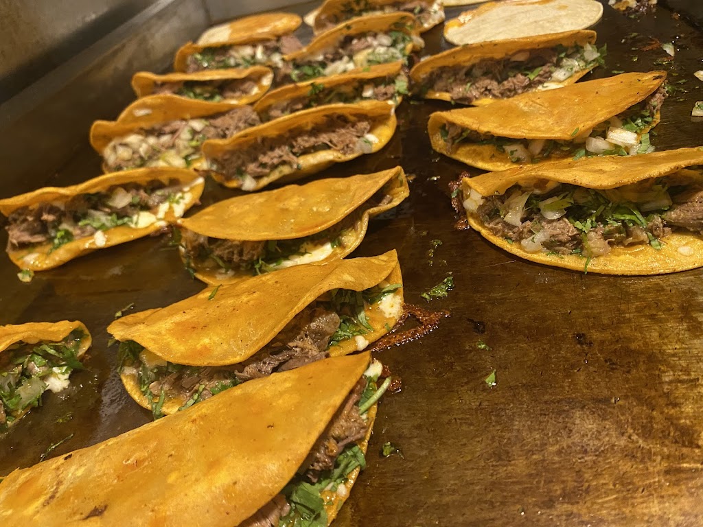 The wolf Authentic Mexican Food | restaurant | 120 9th Ave, Longmont, CO 80501, USA | 7328263 OR +1 7328263