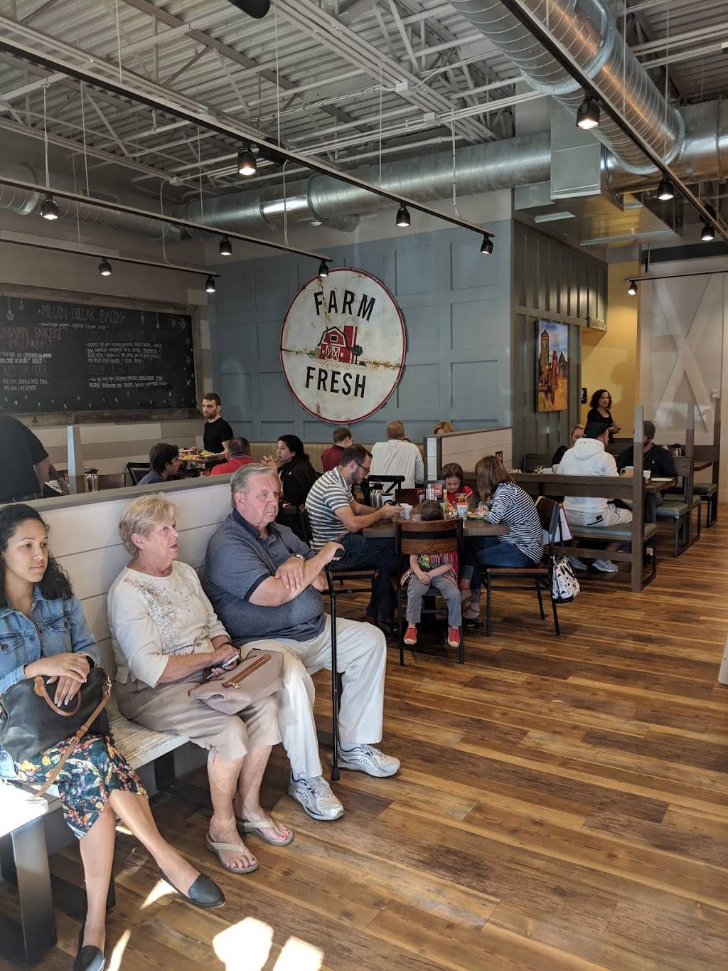 First Watch - Oldsmar - Now Open! | cafe | 3691 Tampa Rd, Oldsmar, FL 34677, USA | 7274665040 OR +1 727-466-5040