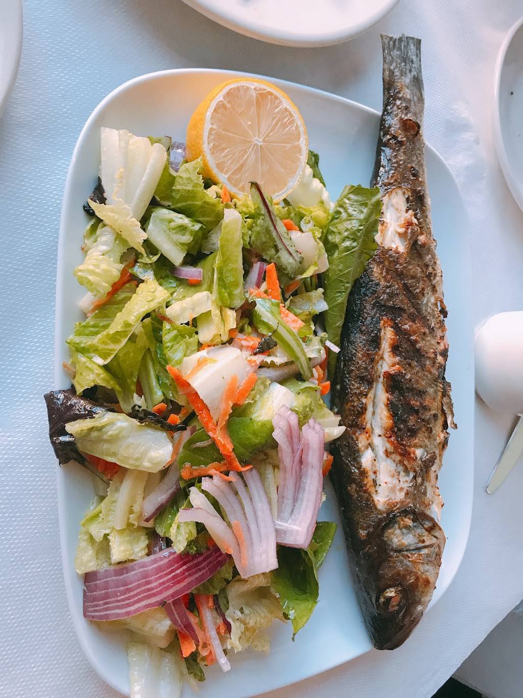 Pasha Cafe & Lounge | restaurant | 808 Ivy St, Pittsburgh, PA 15232, USA | 4126887415 OR +1 412-688-7415