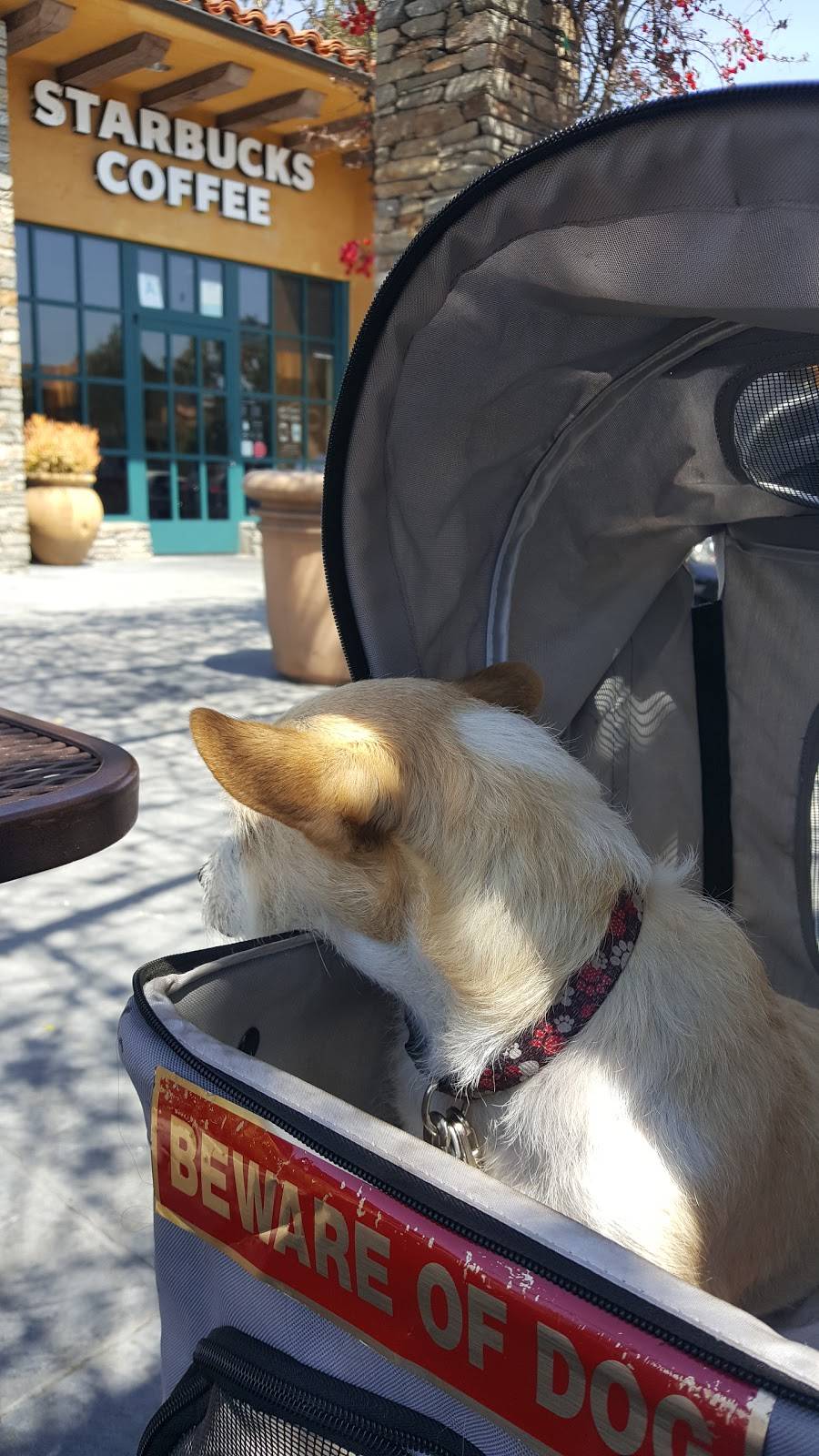 Starbucks | cafe | 530 N Sepulveda Blvd #C, El Segundo, CA 90245, USA | 3106471697 OR +1 310-647-1697