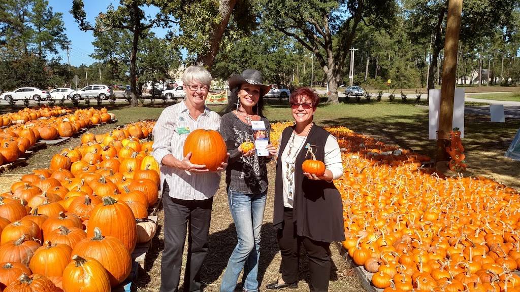 Dunkin | bakery | 1477 SC-544, Conway, SC 29526, USA | 8433476010 OR +1 843-347-6010