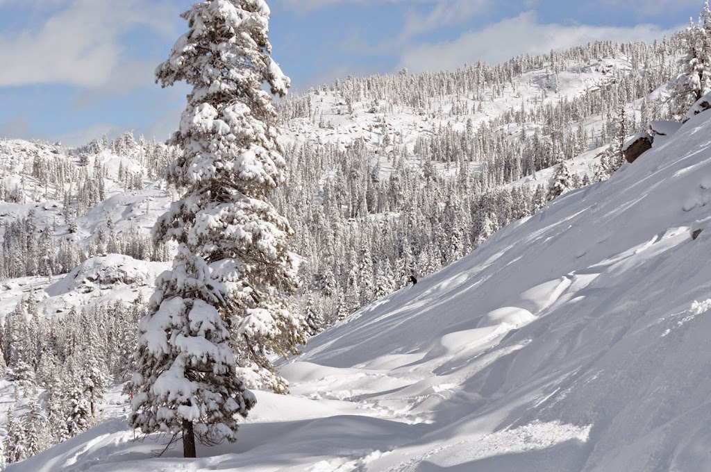 Dodge Ridge Mountain Resort | restaurant | 1 Dodge Ridge Rd, Pinecrest, CA 95364, USA | 2099653474 OR +1 209-965-3474