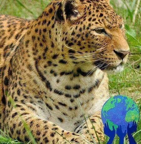 William H Durant Chicken Farm | restaurant | Louisville Rd, Conway, SC 29526, USA | 8433651880 OR +1 843-365-1880