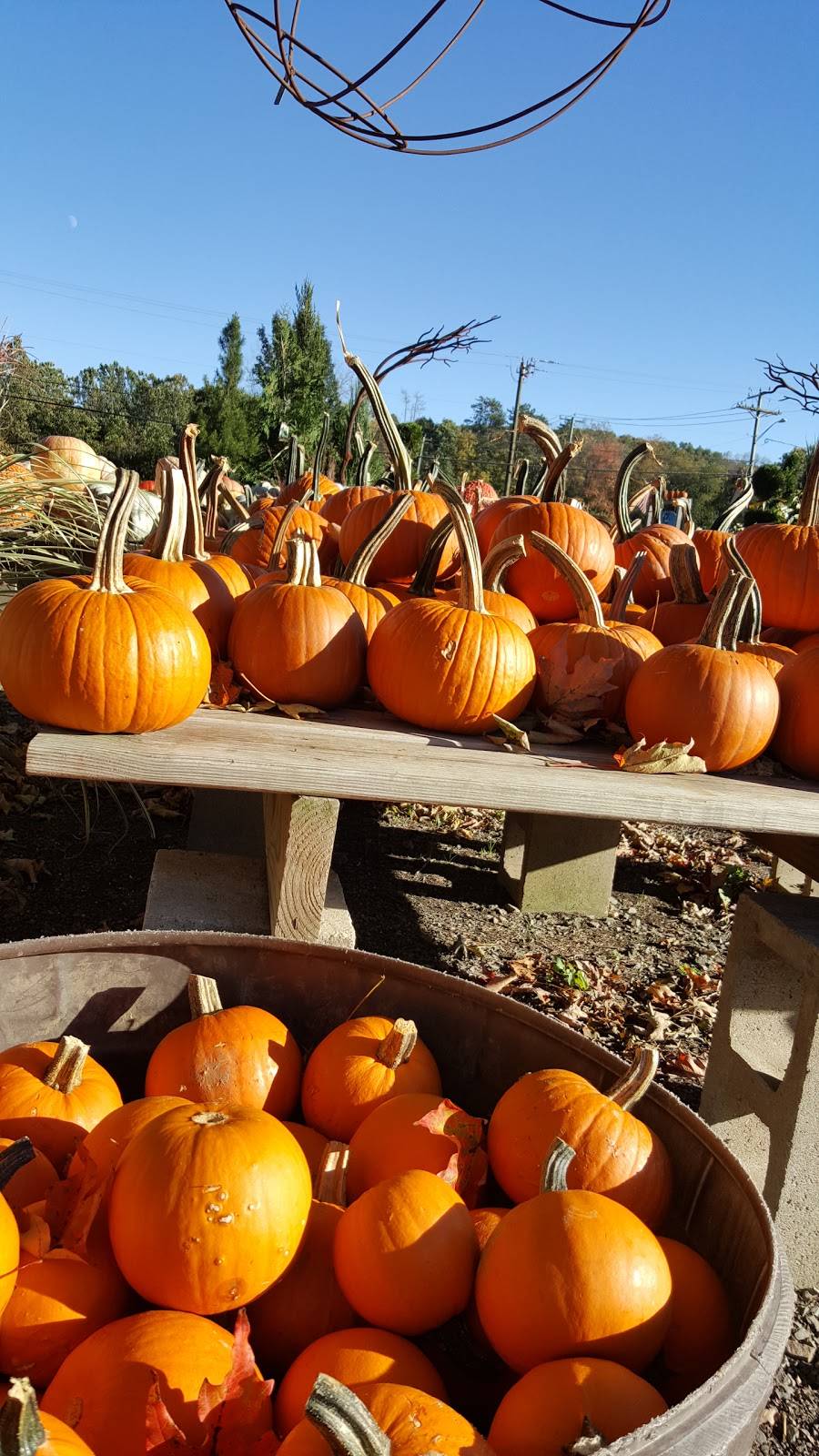 San Remo Restaurant-Pizzeria | restaurant | 135 Main St N, Woodbury, CT 06798, USA | 2032634442 OR +1 203-263-4442