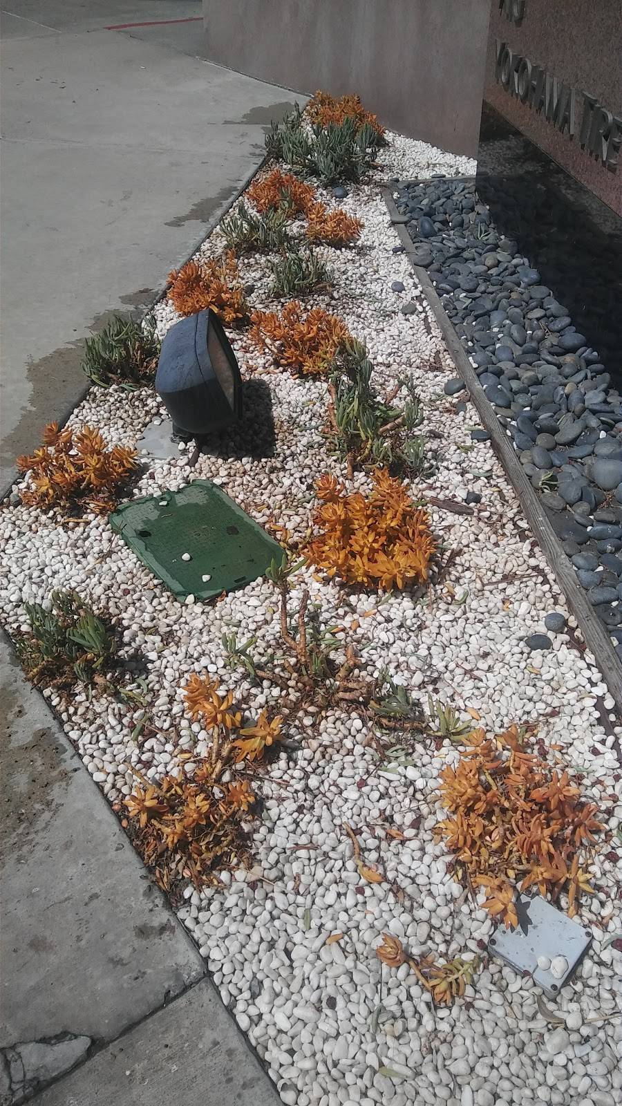 Cafe 201 | restaurant | 1 MacArthur Pl # 120, Santa Ana, CA 92707, USA | 7145458012 OR +1 714-545-8012