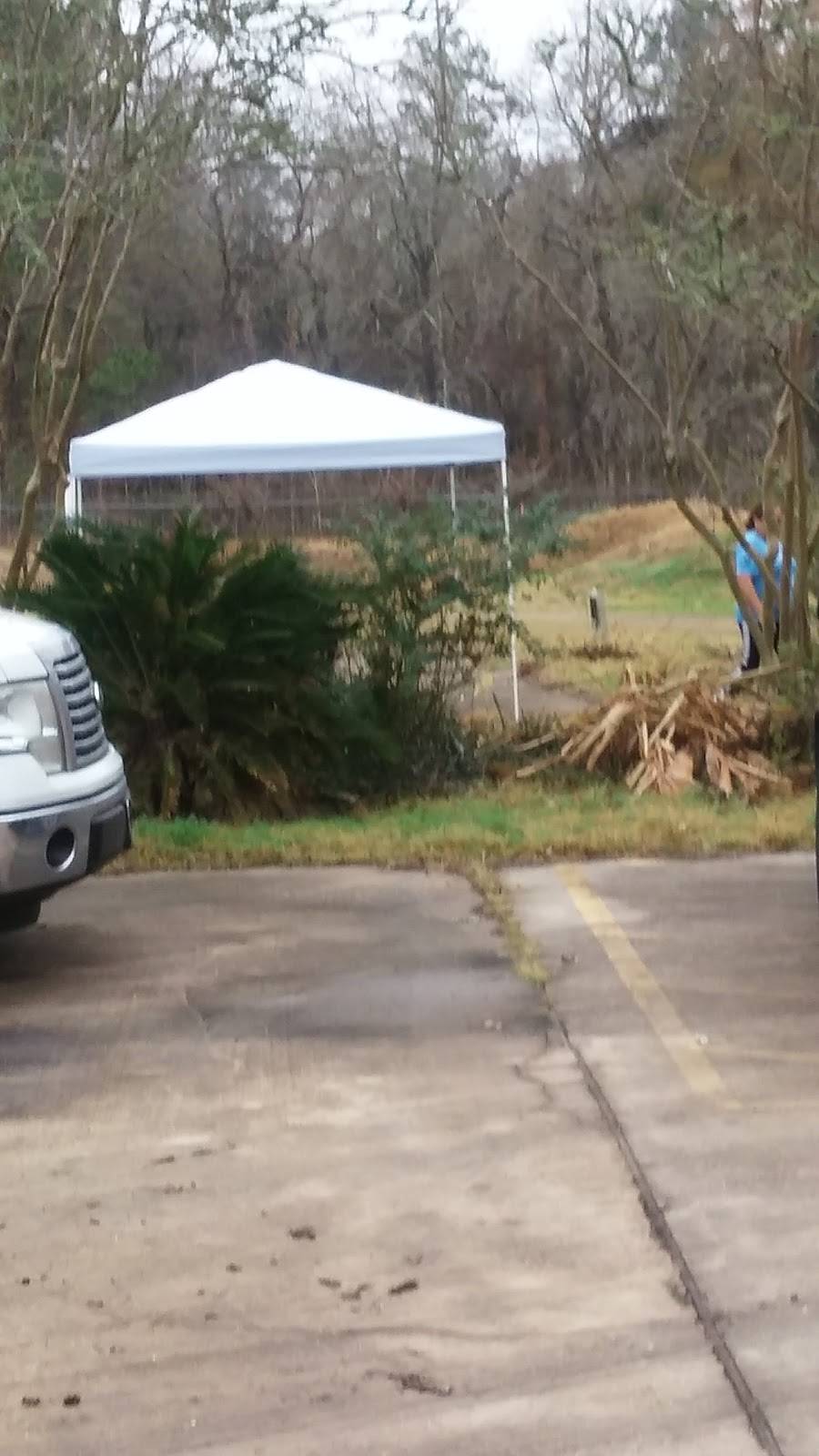 Z Z Gator Cove | restaurant | 733 Hamblen Rd, Kingwood, TX 77339, USA | 2813592200 OR +1 281-359-2200