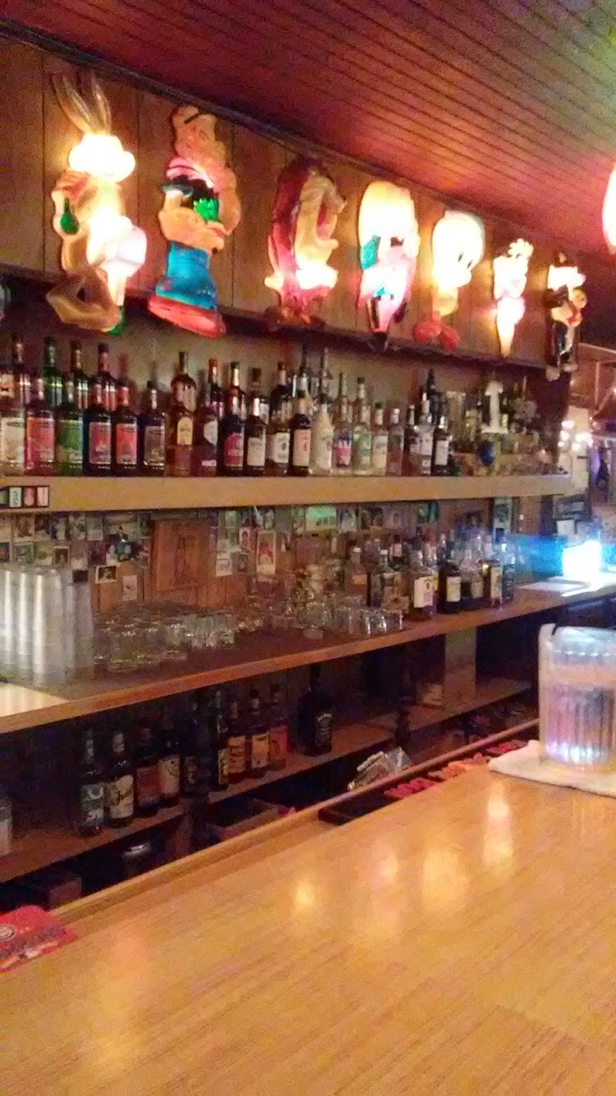 Johnsons Family Bar & Grill | restaurant | 306 E Jackson St, Galveston, IN 46932, USA | 5746997909 OR +1 574-699-7909