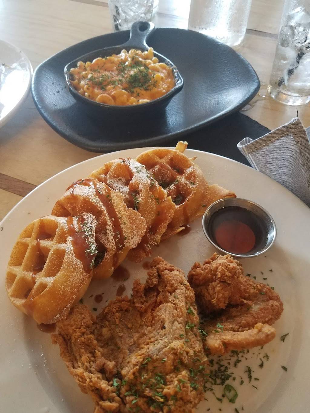 Taste Bar + Kitchen | restaurant | 3015 Bagby St, Houston, TX 77006, USA | 8325381451 OR +1 832-538-1451