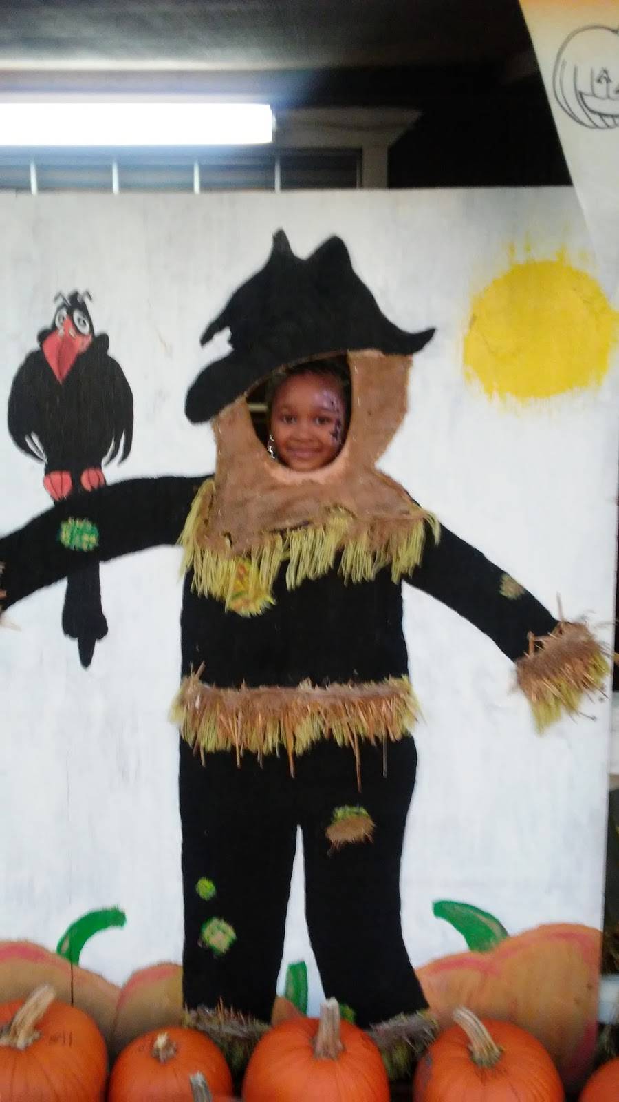 Middleton Cider Mill | restaurant | 46462 Dequindre Rd, Shelby Charter Twp, MI 48317, USA | 5867316699 OR +1 586-731-6699