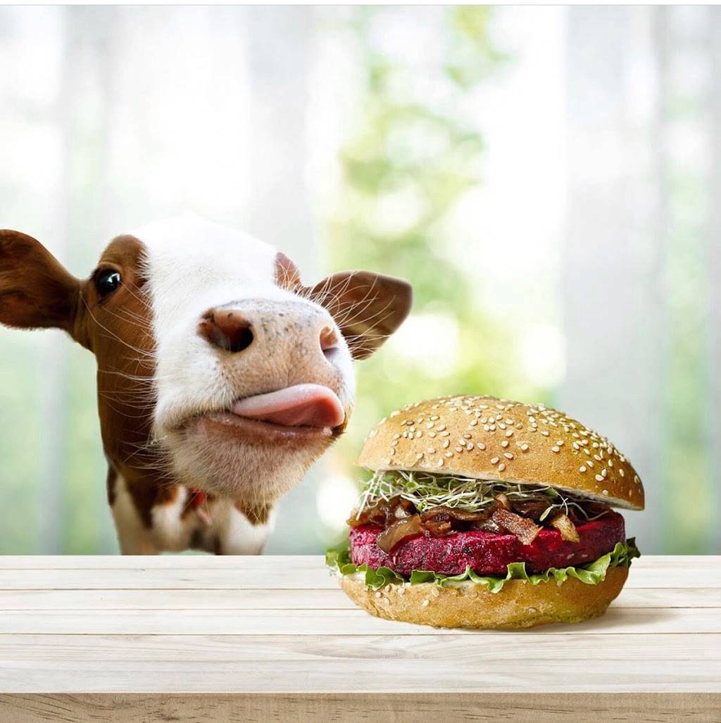 Copper Branch | restaurant | 48 Peel Centre Dr Bramalea City Centre Building N1, Unit B, Brampton, ON L6T 5M2, Canada | 9057916464 OR +1 905-791-6464